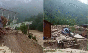 ❗️Сель сошел в Рицинском реликтовом парке.