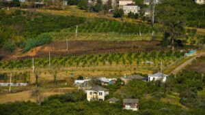 Беспорядочный хаос, бардак и коррупция — вот три кита, на которых держится земельная сфера Абхазии.