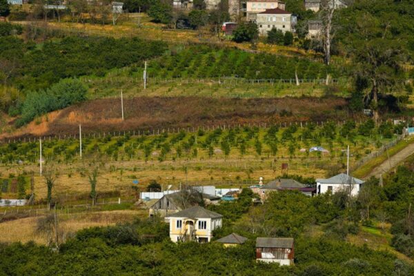 Беспорядочный хаос, бардак и коррупция — вот три кита, на которых держится земельная сфера Абхазии.